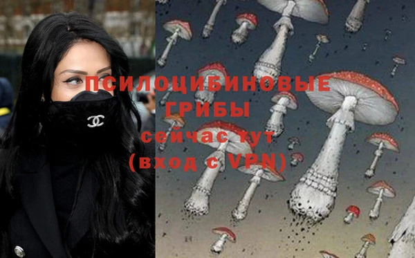 ALPHA PVP Гусиноозёрск